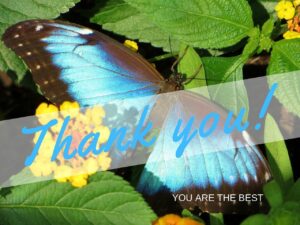 thank you, gratitude, you are the best-1030266.jpg