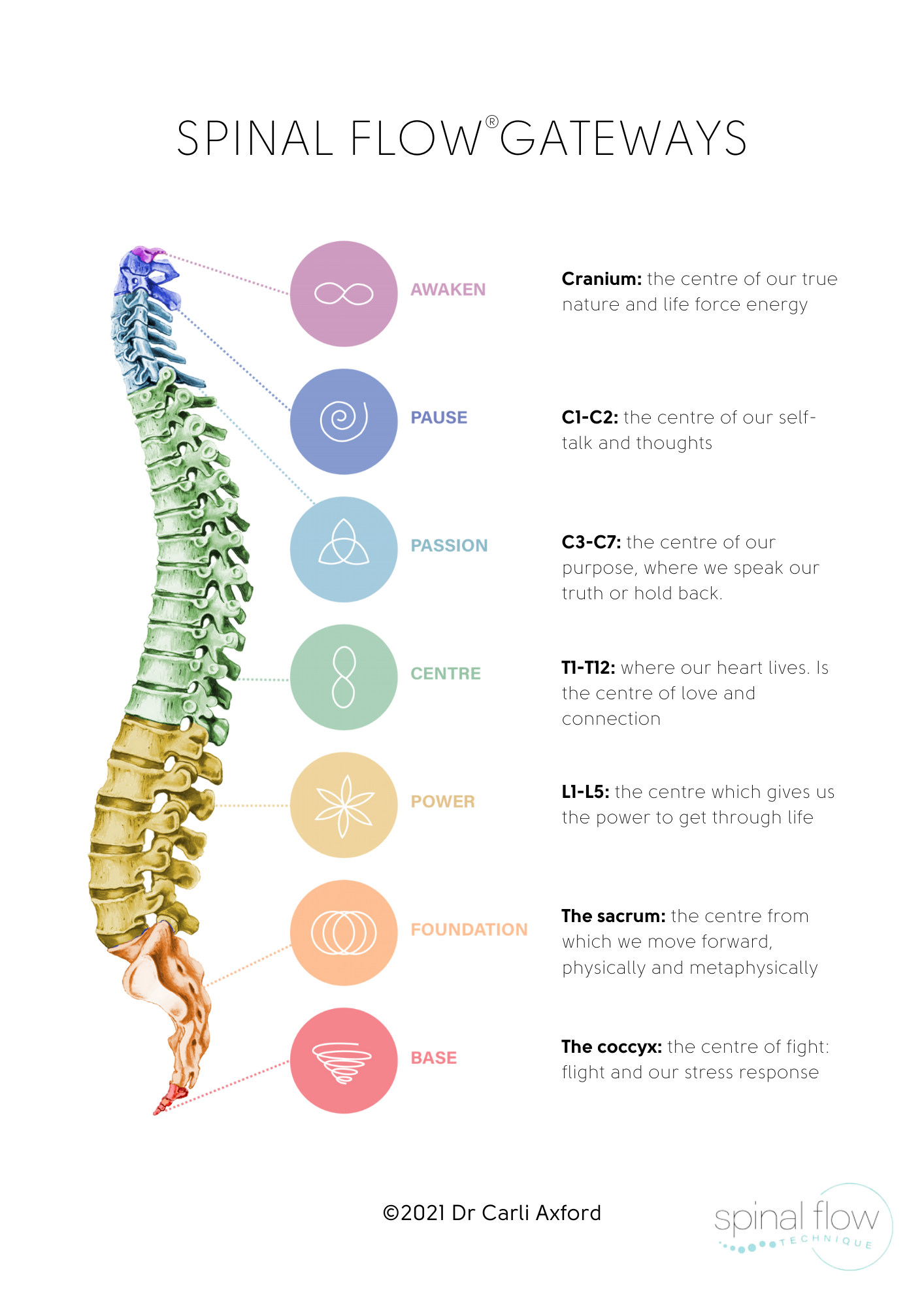 Spinal Column Healing Rifles Spinal Flow - Solstice Spinal Flow & Healing